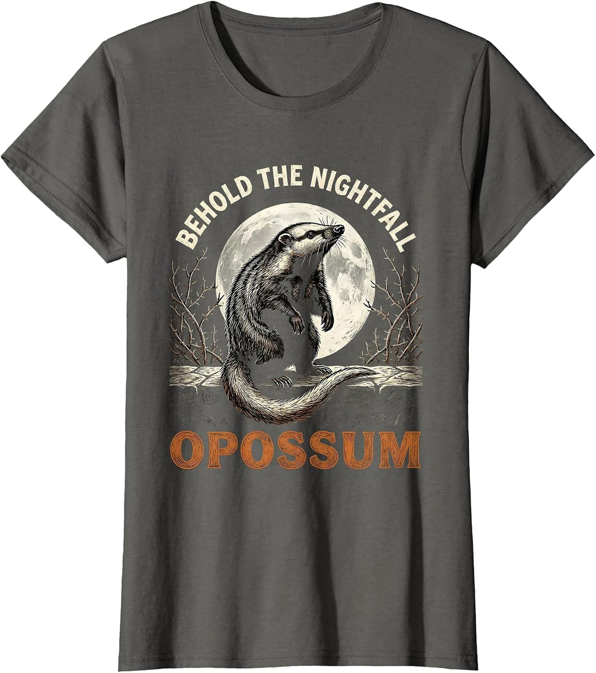 Women's Behold The Nightfall Opossum Vintage Gothic Halloween T-Shirt - Asphalt Grey