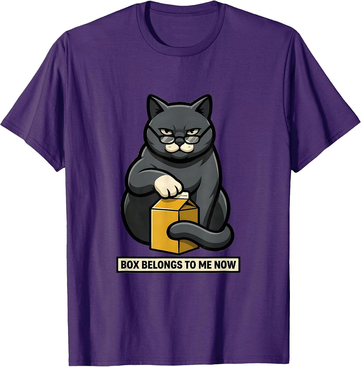 Box Belongs To Me Now Funny Science Cat Owner Quantum T-Shirt - Purple