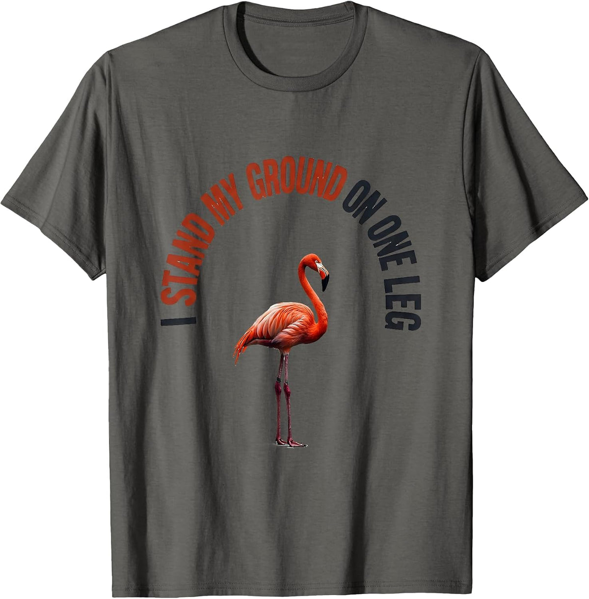 I Stand My Ground On One Leg Funny Flamingo Lover Novelty T-Shirt - Asphalt Grey