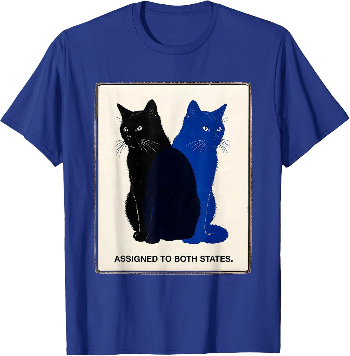 Assigned To Both States Quantum Physics Cat Nerd Humor T-Shirt - Royal Blue