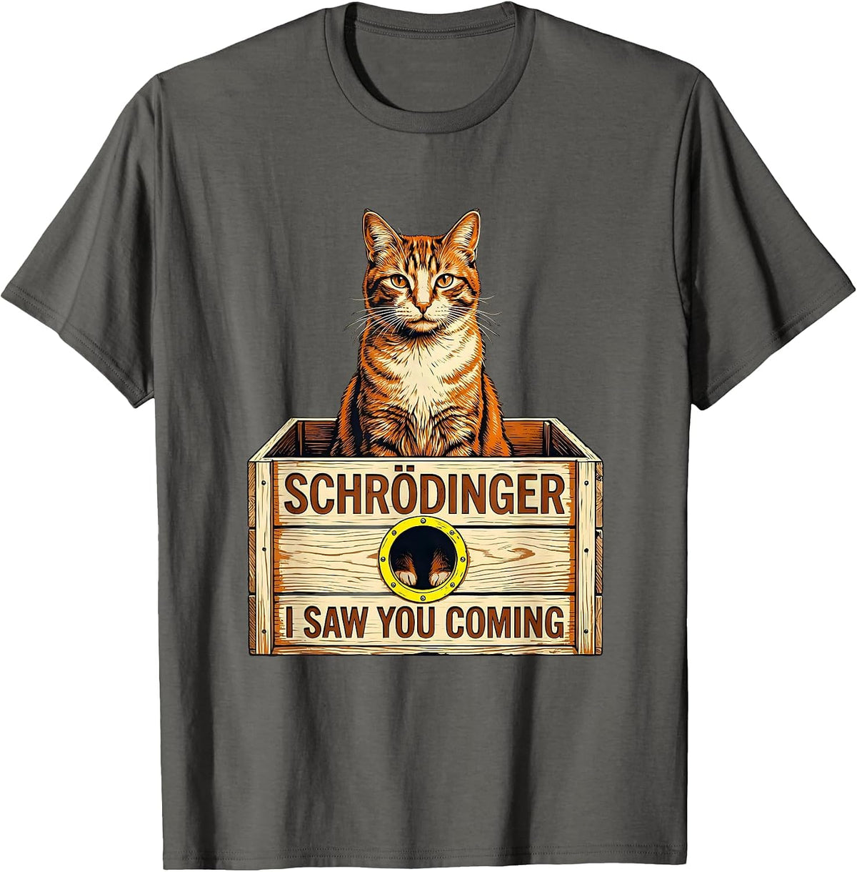 Schrödinger, I Saw You Coming Funny Quantum Physics Cat T-Shirt - Asphalt Grey