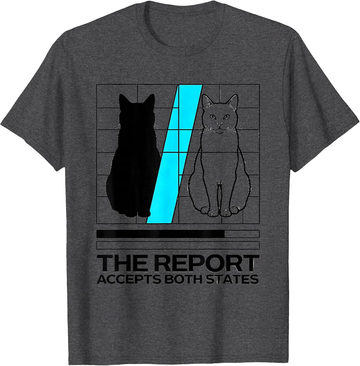 The Report Accepts Both States New Wave Physics Nerd Humor T-Shirt - Dark Heather Grey