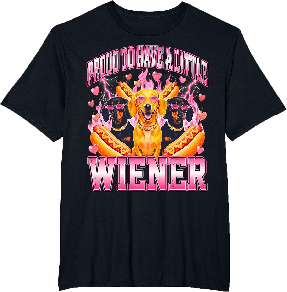 Dachshund Proud to Have A Little Wiener Dog Owner Funny T-Shirt - Black