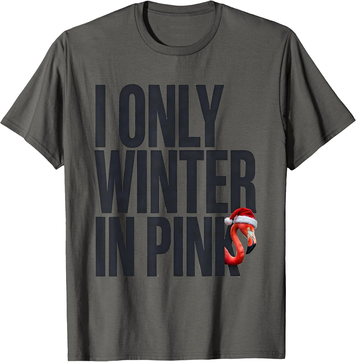 I Only Winter In Pink Funny Pink Flamingo Christmas Novelty T-Shirt - Asphalt Grey