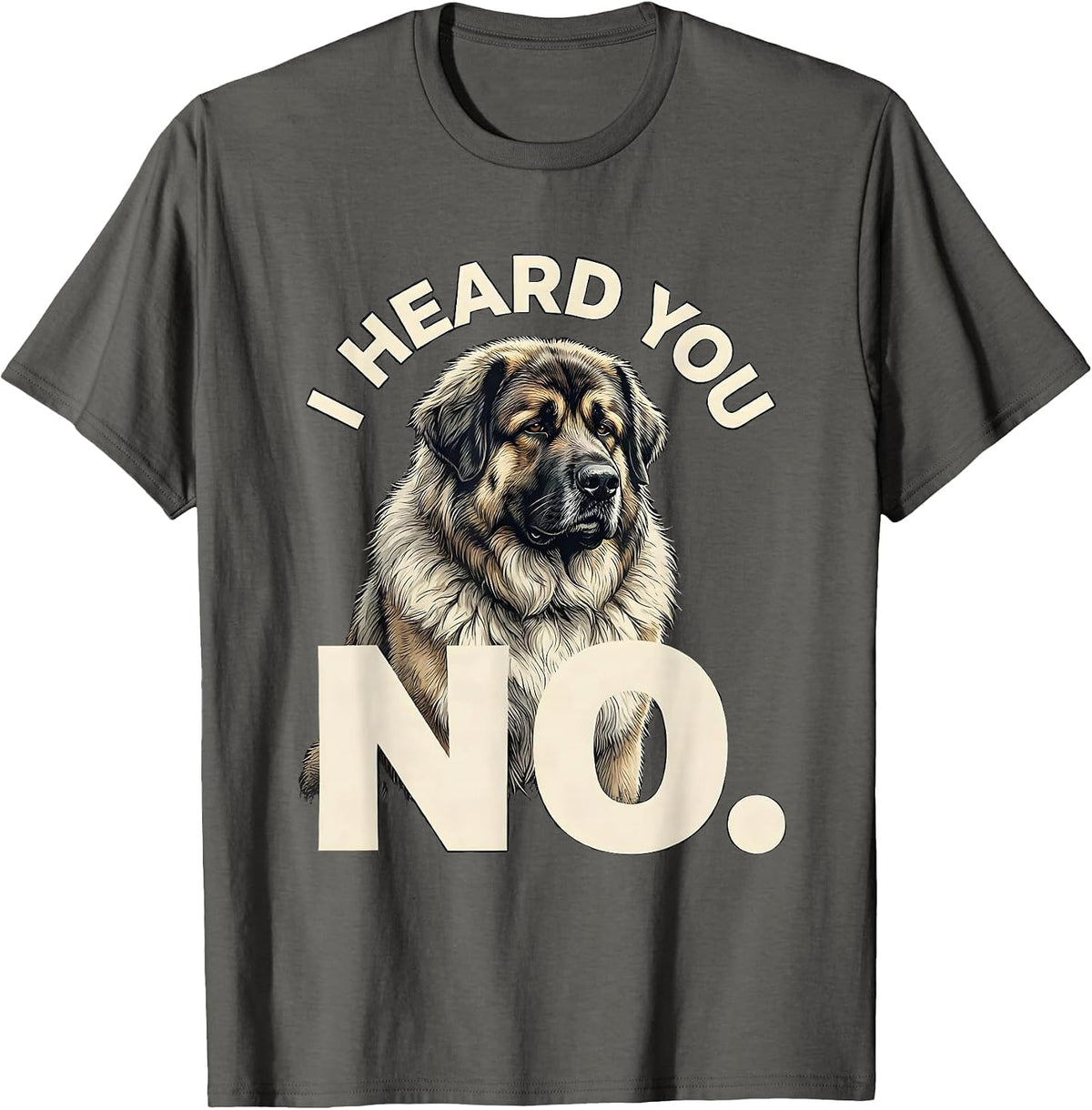 Men's I Heard You No Funny Great Pyrenees Dog Owner Humor T-Shirt - Asphalt Grey