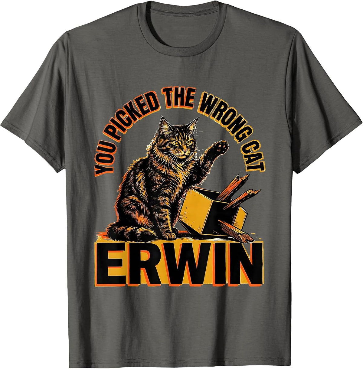 You Picked the Wrong Cat, Erwin Funny Quantum Physics T-Shirt - Asphalt Grey
