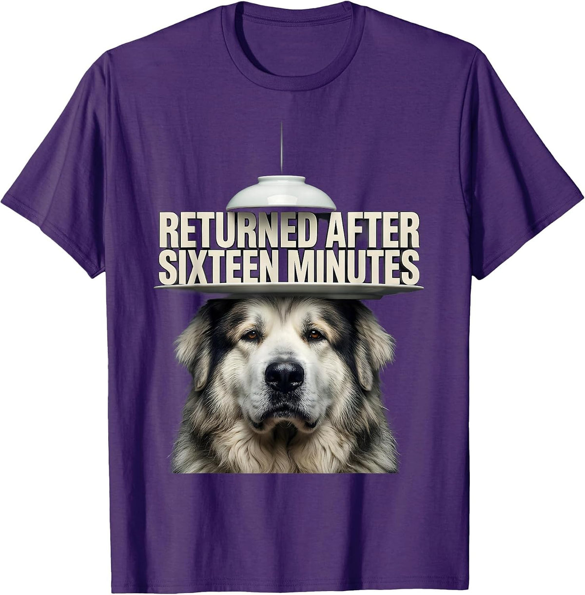 Returned After Sixteen Minutes Funny Great Pyrenees Dog UFO T-Shirt - Purple