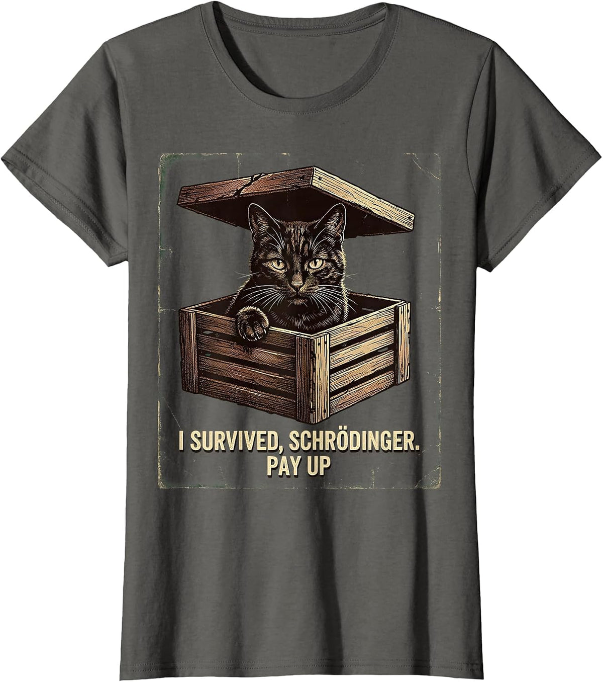 Women's I Survived, Schrödinger. Pay Up Vintage Science Teacher T-Shirt - Asphalt Grey