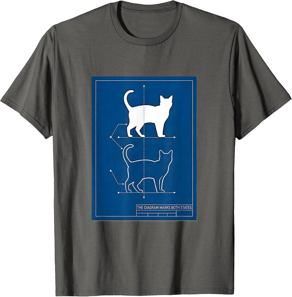 Men's The Diagram Marks Both States Technical Blueprint Physics T-Shirt - Asphalt Grey