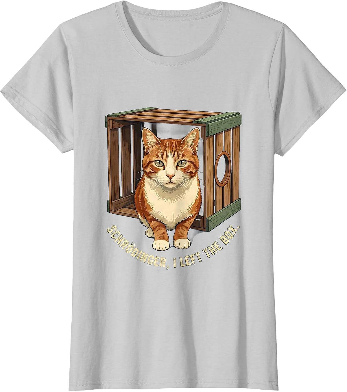 Schrödinger, I Left the Box Vintage Quantum Physics Humor T-Shirt - Silver Grey
