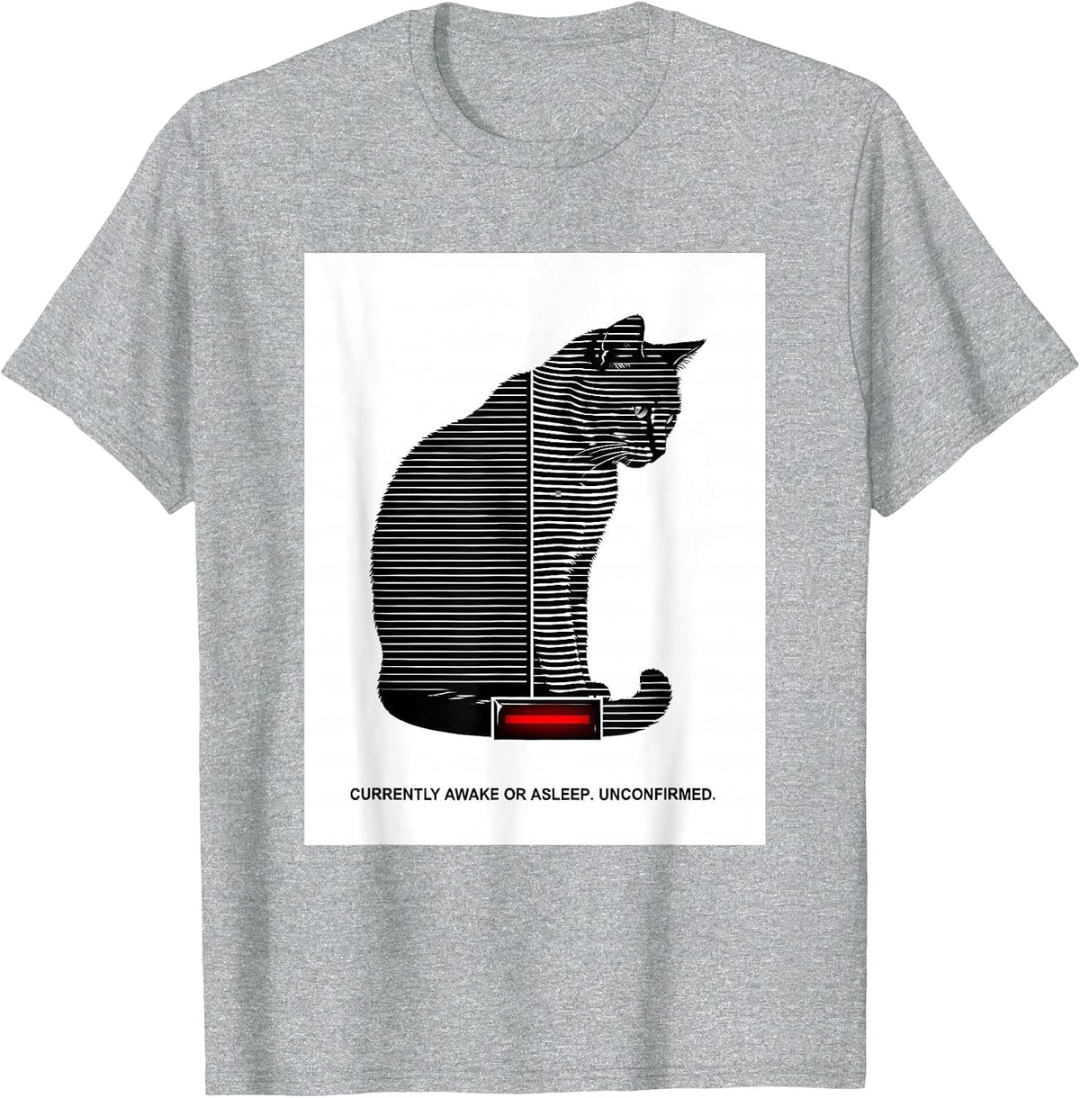 Men's Currently Awake Or Asleep Unconfirmed Quantum Physics Humor T-Shirt - Heather Grey