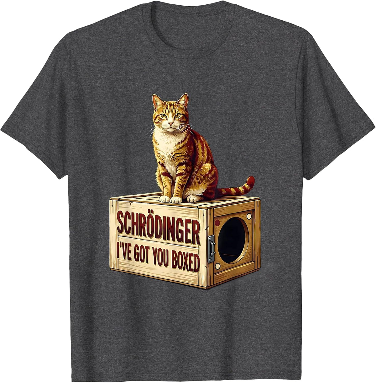 Men's Schrödinger, I’ve Got You Boxed Funny Quantum Physics Cat T-Shirt - Dark Heather Grey