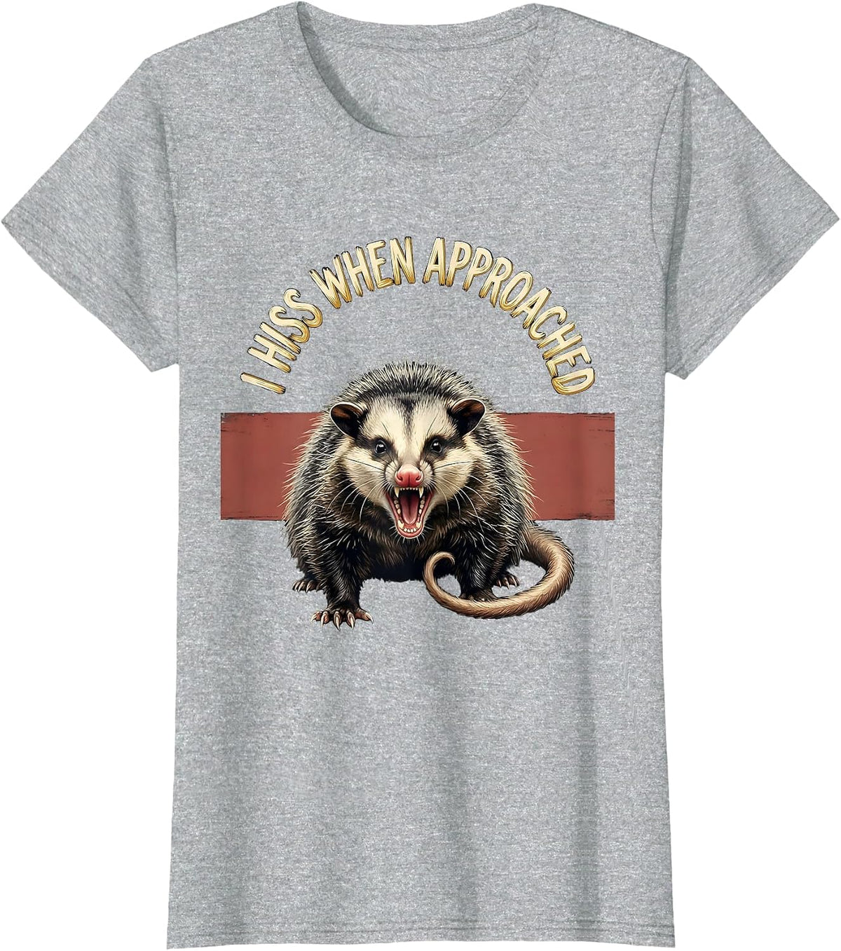Women's I Hiss When Approached Funny Opossum Animal Meme Humor T-Shirt - Heather Grey