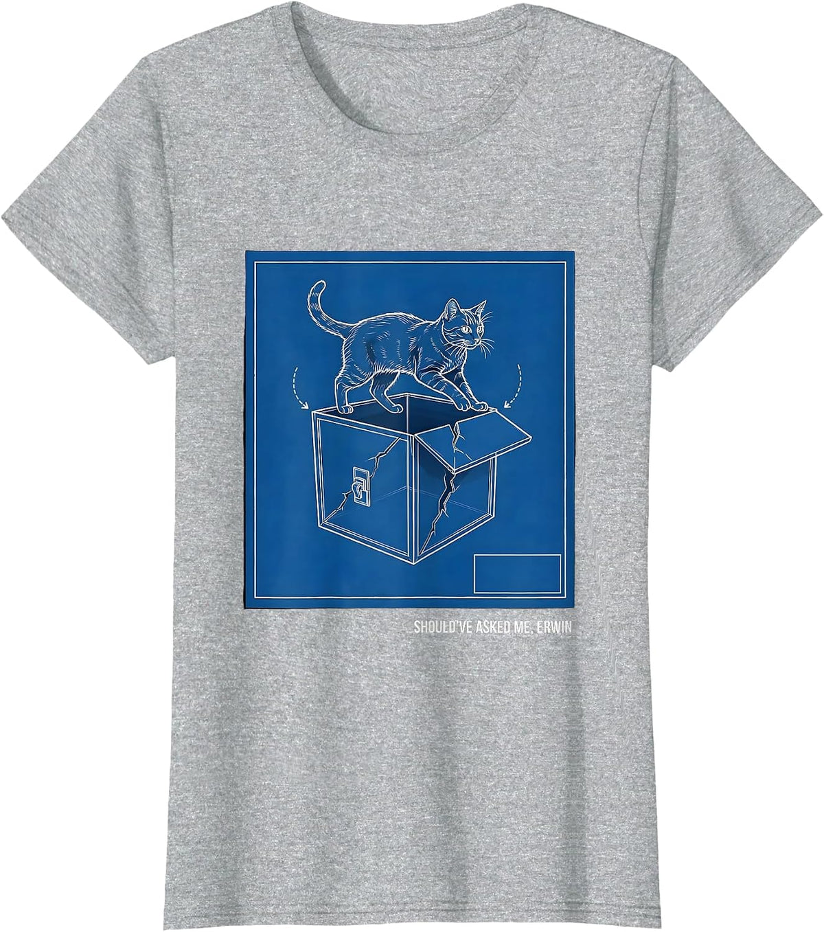 Should've Asked Me Erwin Technical Blueprint Quantum Physics T-Shirt - Heather Grey