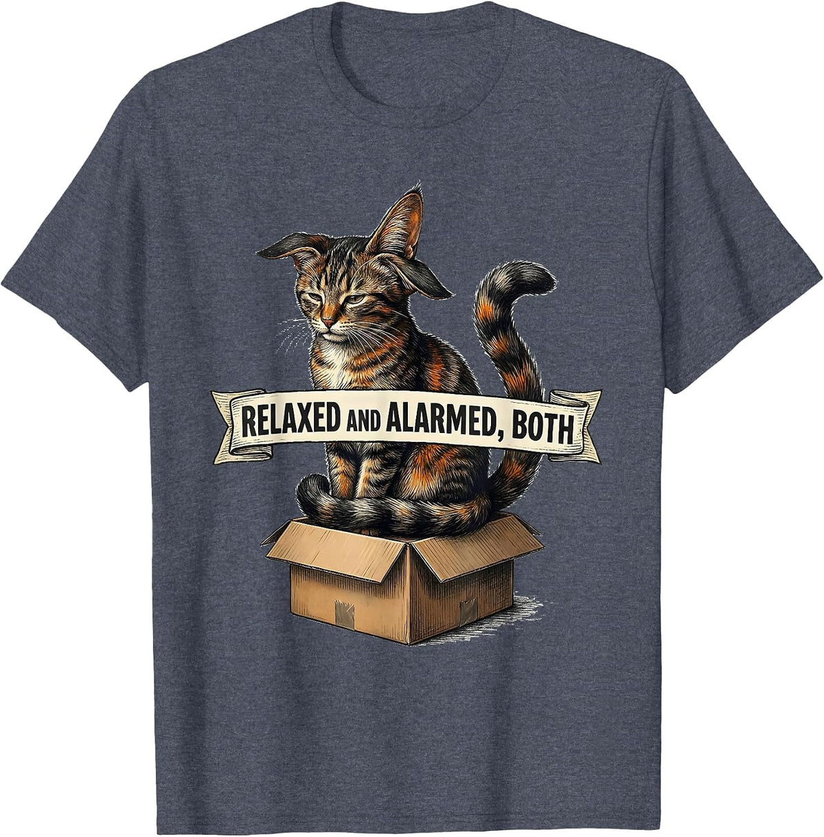 Relaxed And Alarmed Both Quantum Physics Cat Humor Science T-Shirt - Heather Blue