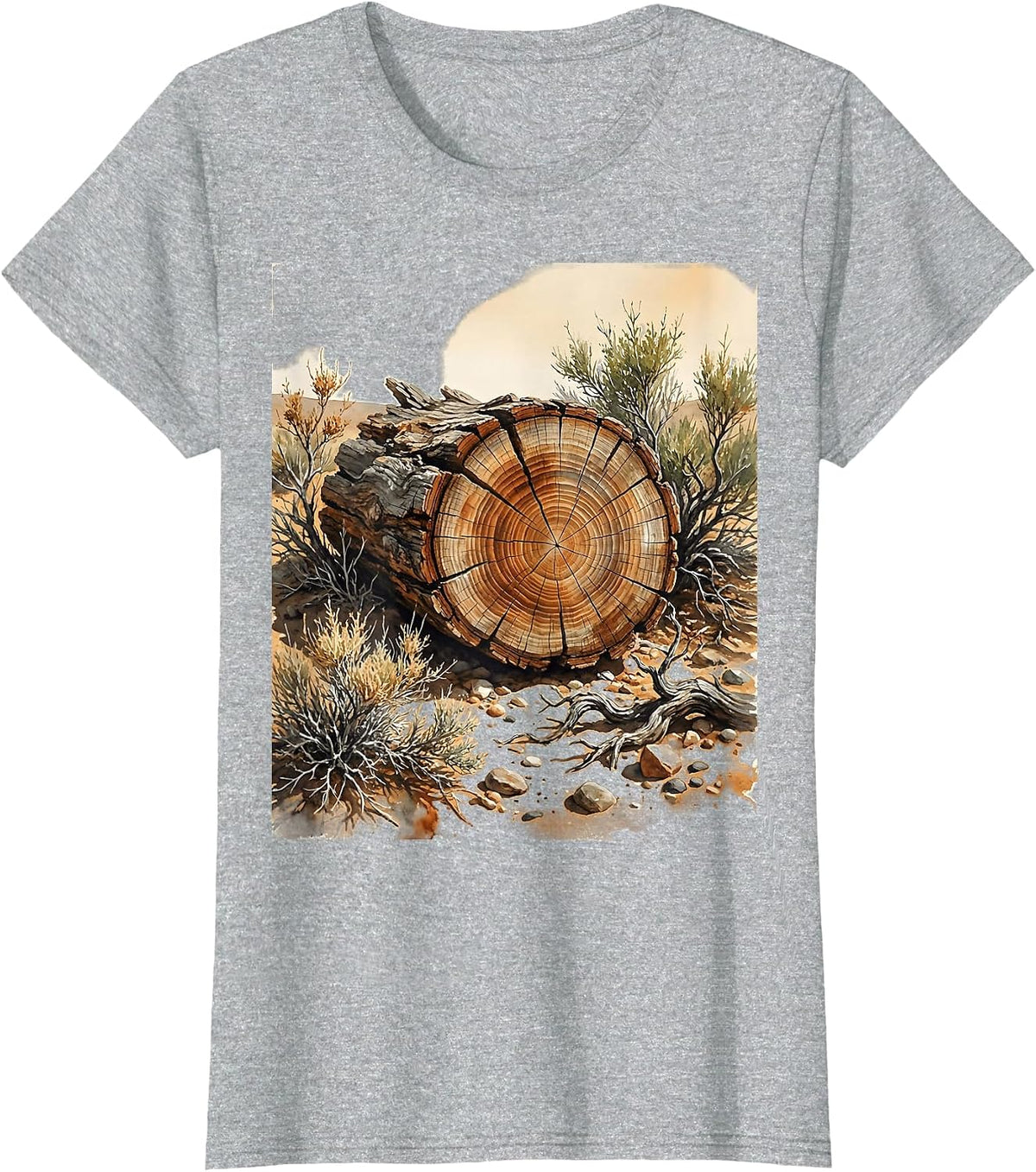Petrified Wood Desert Scrub National Park Graphic T-Shirt - Heather Grey