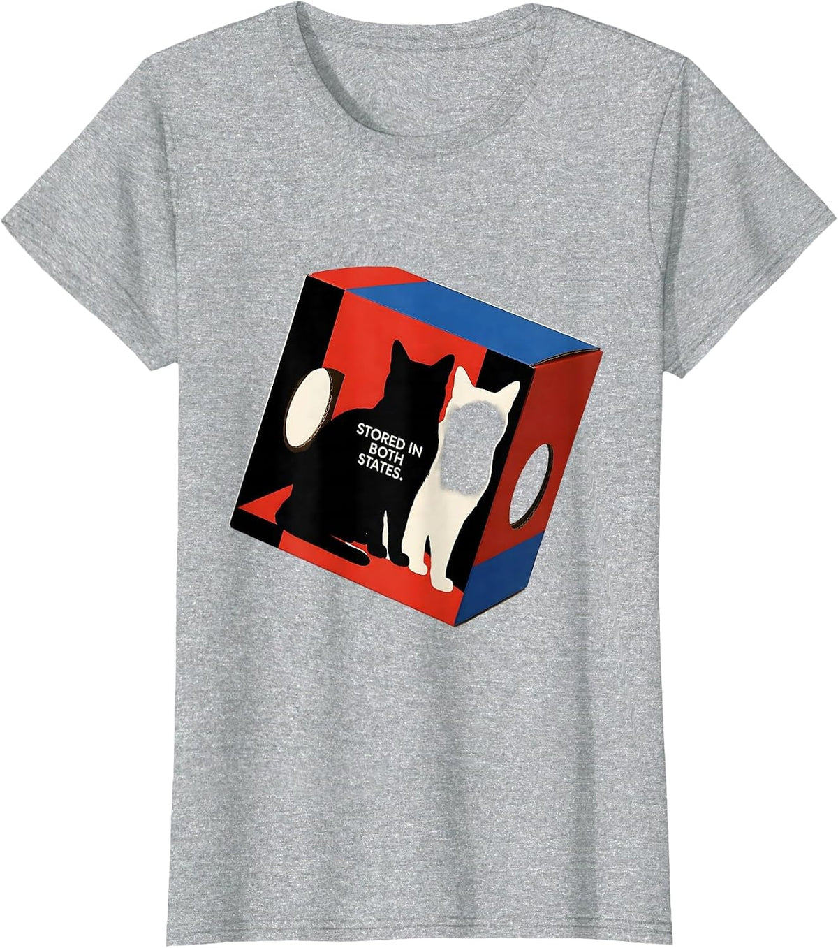 Women's Stored In Both States Bauhaus Modernist Physics Nerd Humor T-Shirt - Heather Grey