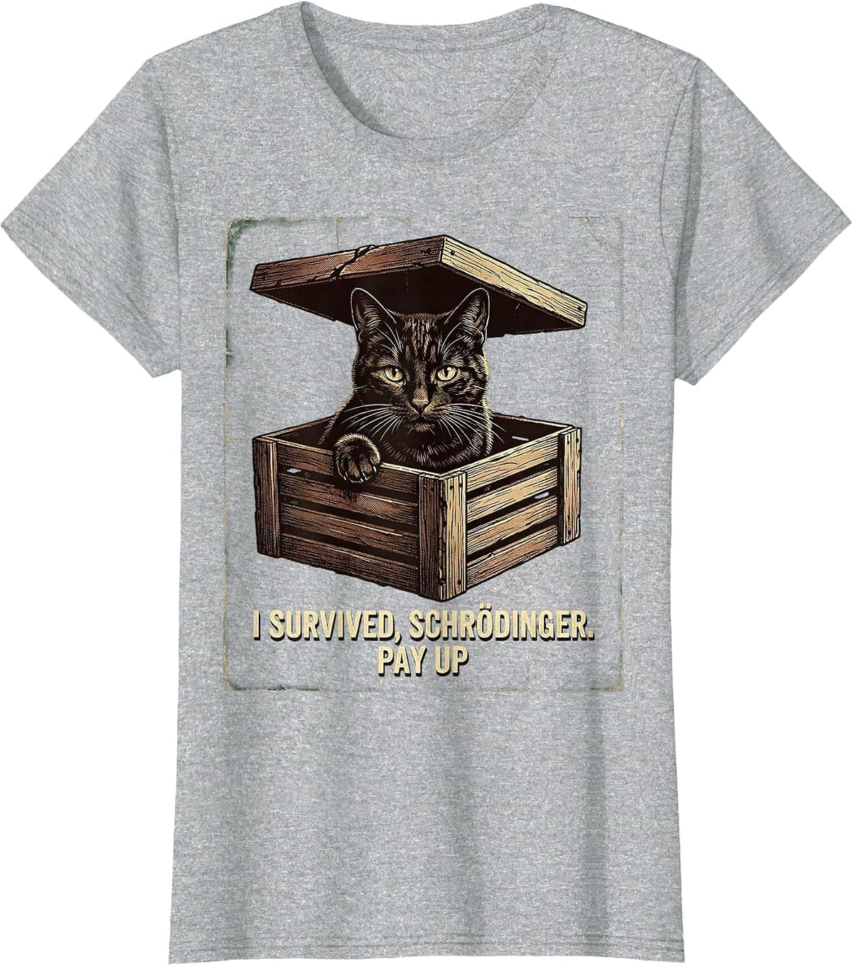 Women's I Survived, Schrödinger. Pay Up Vintage Science Teacher T-Shirt - Heather Grey