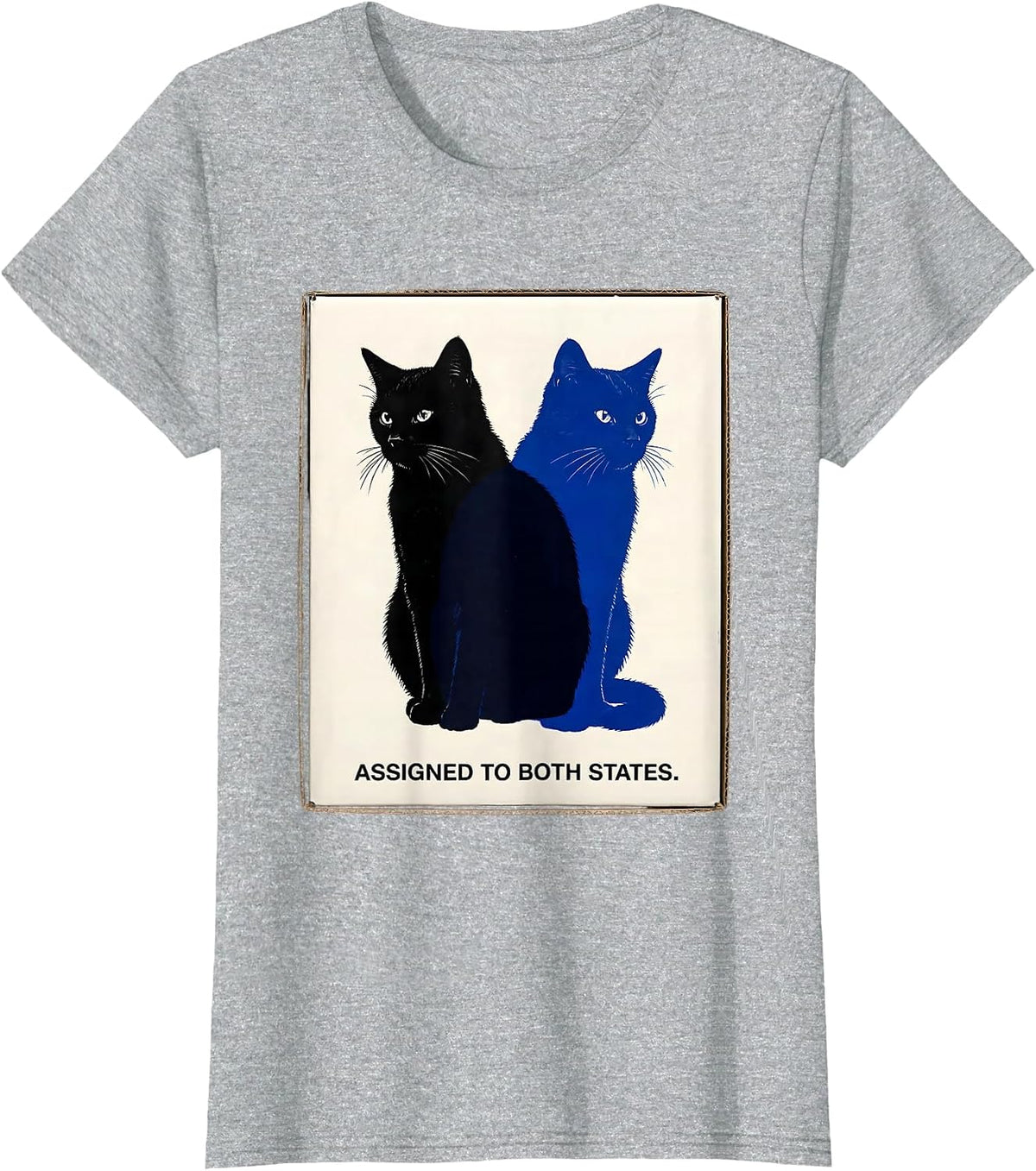 Assigned To Both States Quantum Physics Cat Nerd Humor T-Shirt - Heather Grey
