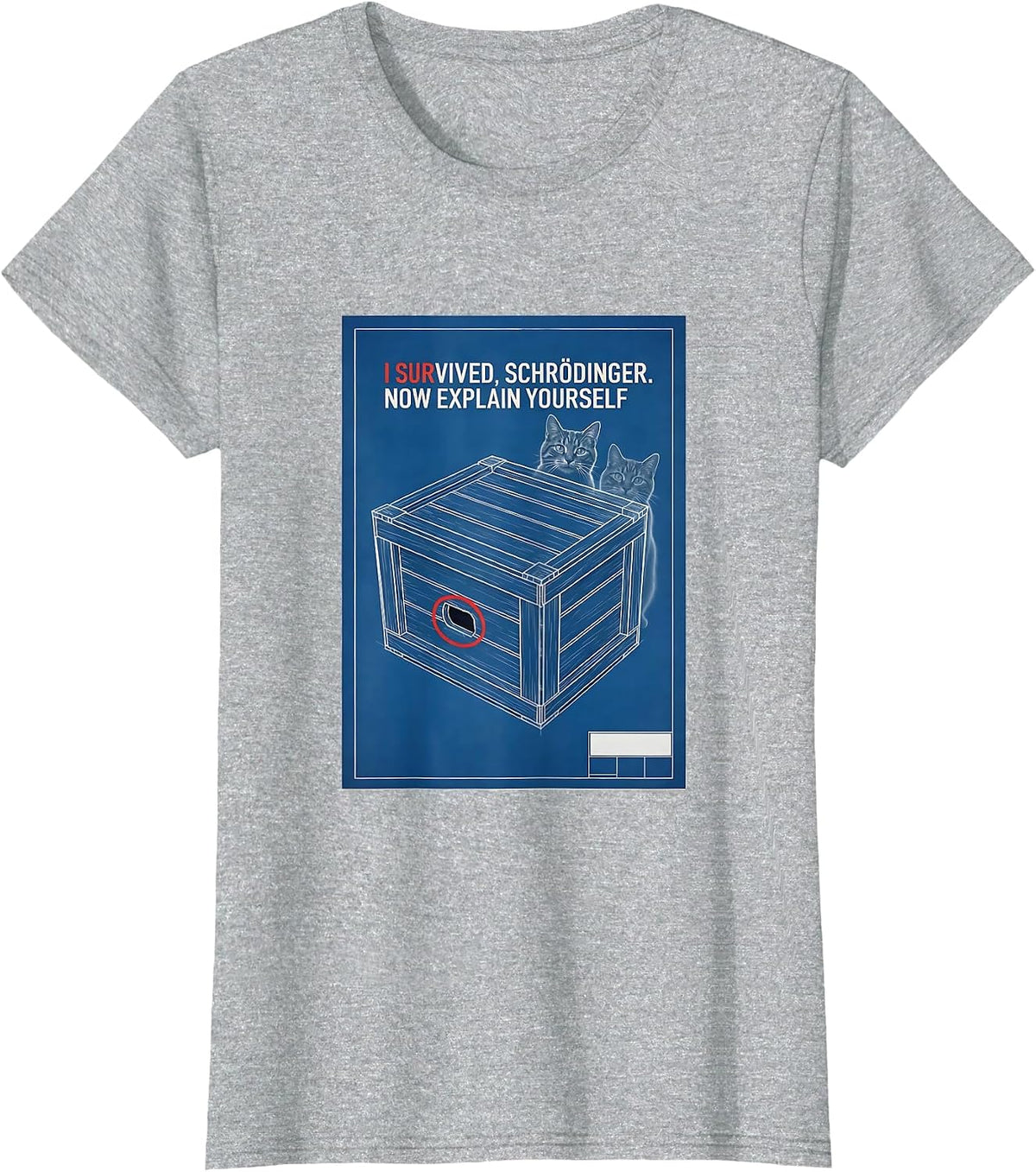 Women's I Survived, Schrödinger. Now Explain Yourself Physics T-Shirt - Heather Grey
