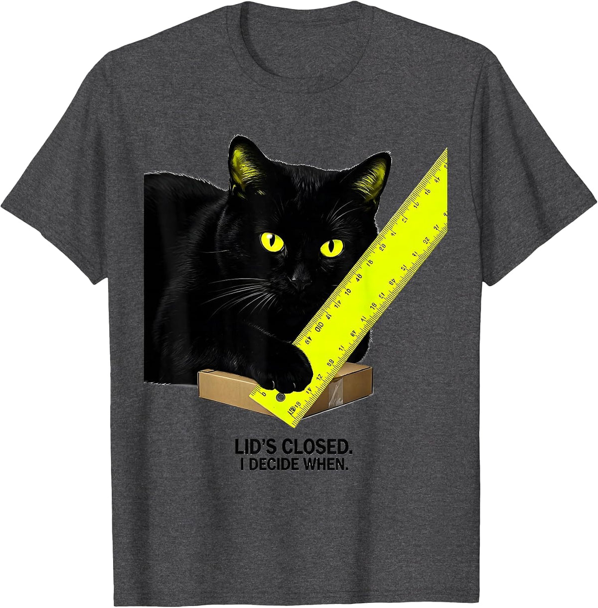 Lid's Closed I Decide When Funny Quantum Physics Cat Geek T-Shirt - Dark Heather Grey
