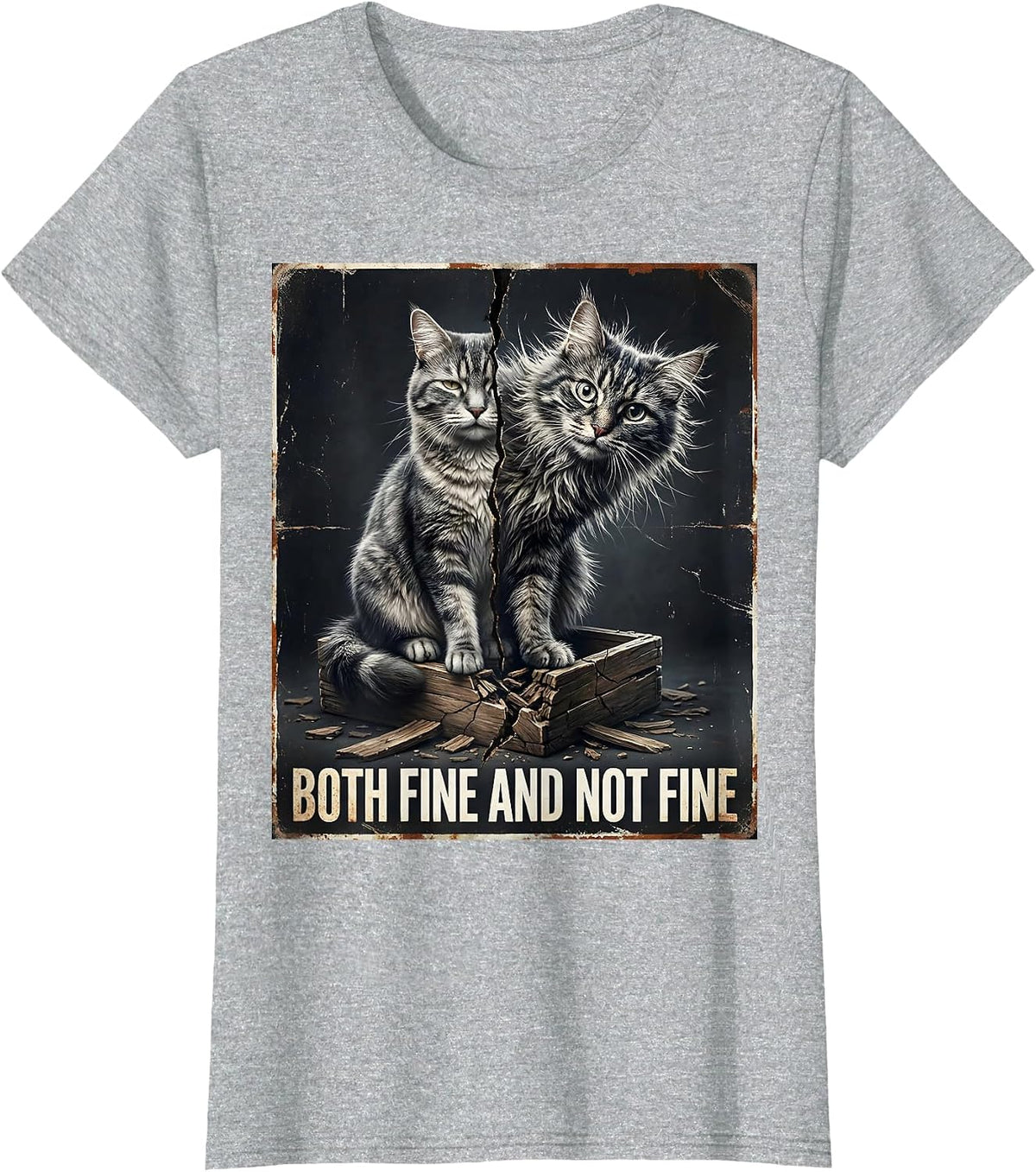 Both Fine And Not Fine Distressed Cat Quantum Physics Humor T-Shirt - Heather Grey