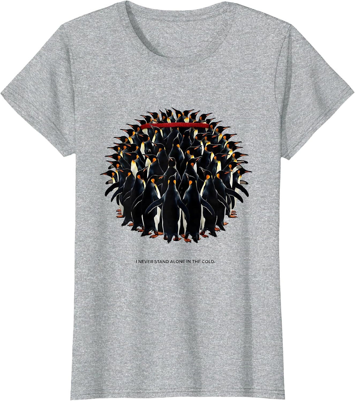 I Never Stand Alone In The Cold Funny Penguin Lover T-Shirt - Heather Grey