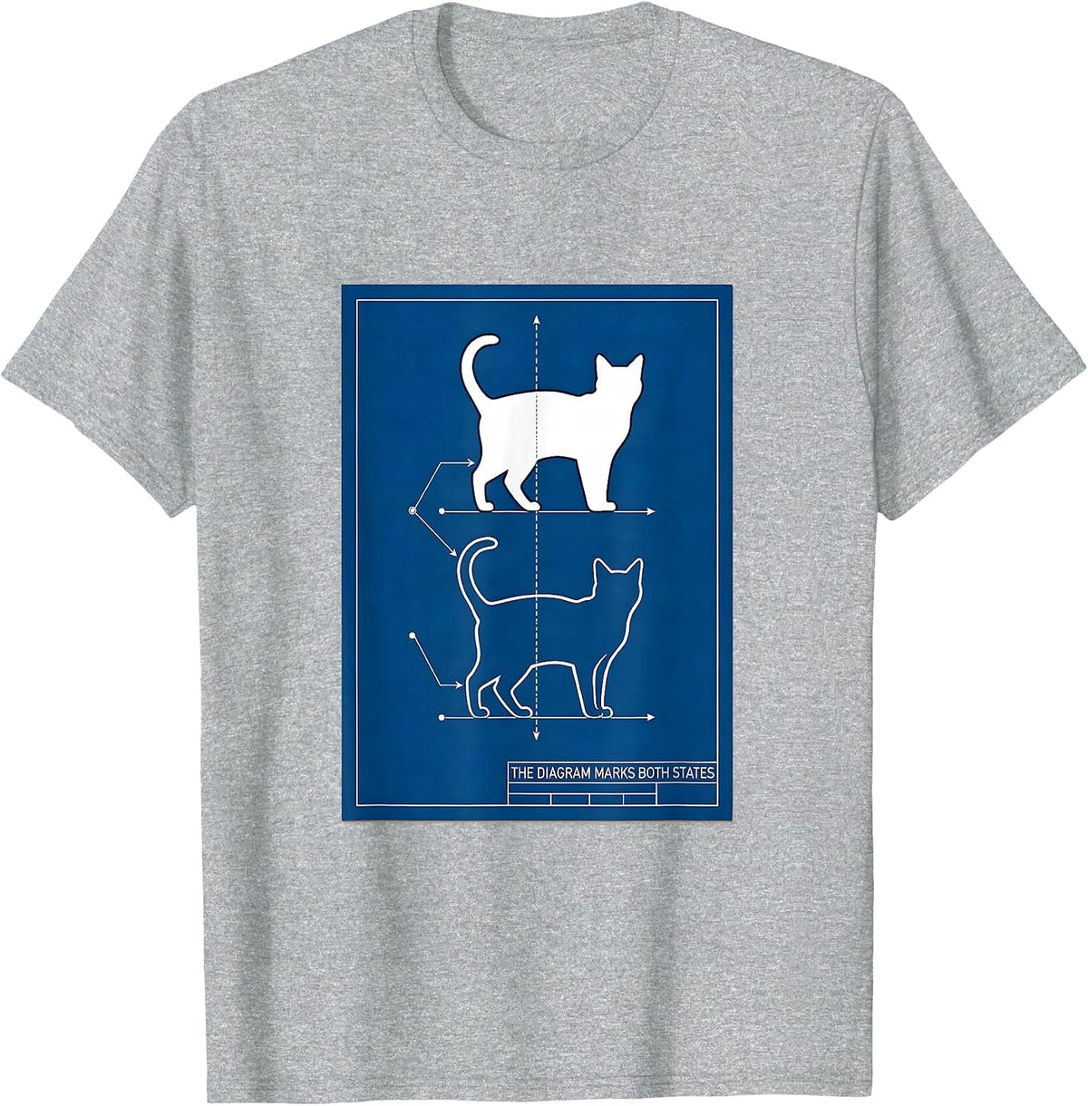 Men's The Diagram Marks Both States Technical Blueprint Physics T-Shirt - Heather Grey