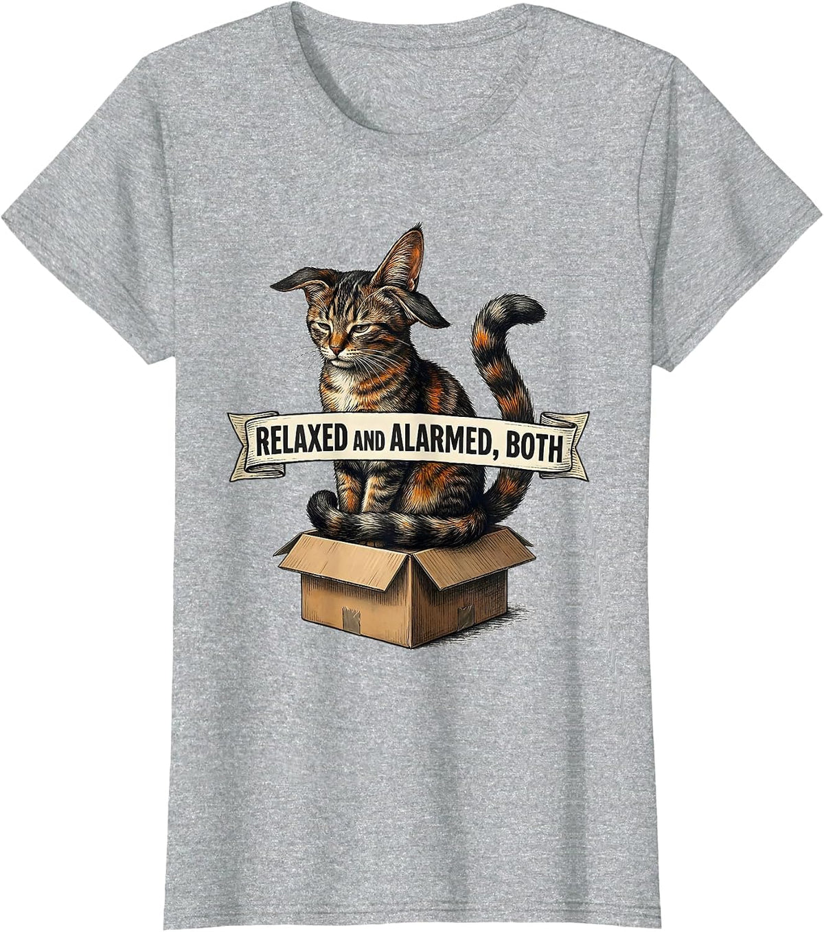 Relaxed And Alarmed Both Quantum Physics Cat Humor Science T-Shirt - Heather Grey