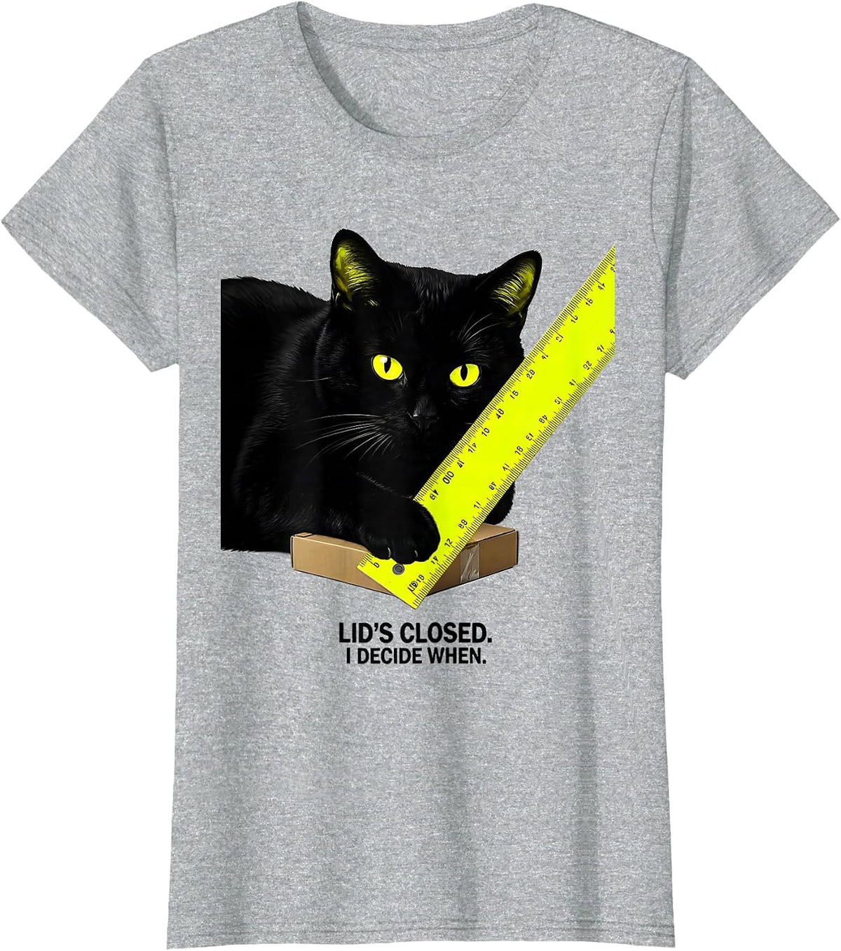 Lid's Closed I Decide When Funny Quantum Physics Cat Geek T-Shirt - Heather Grey