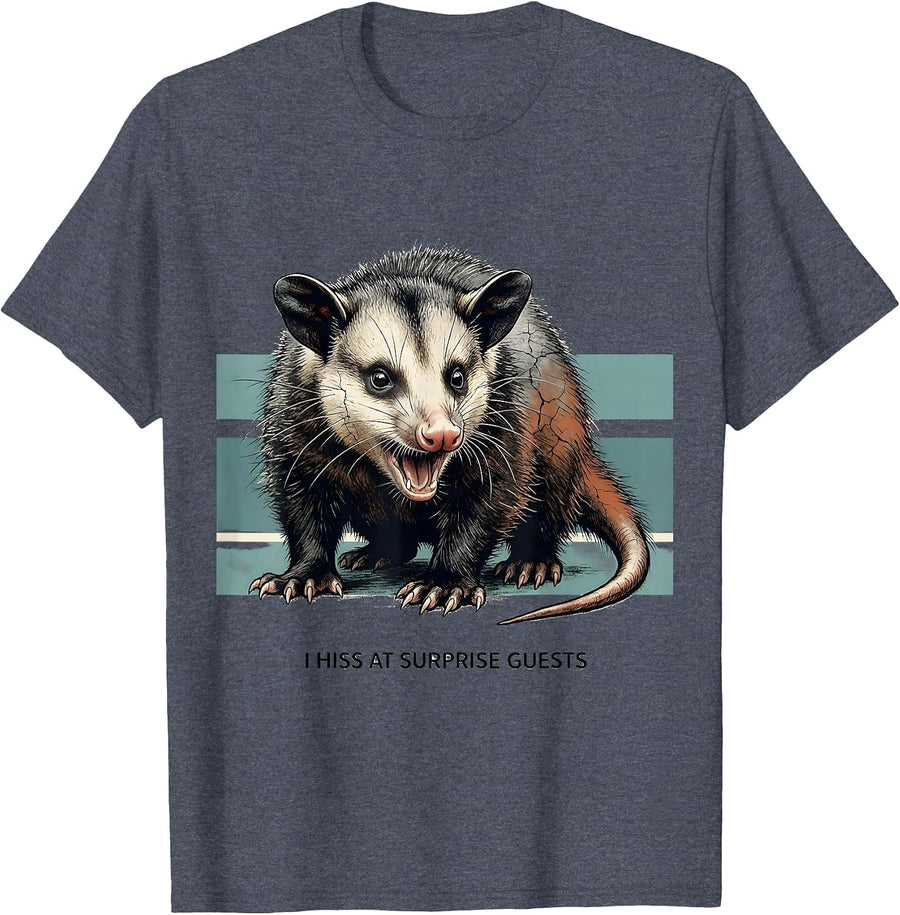 I Hiss At Surprise Guests Funny Opossum Distressed Animal T-Shirt - Heather Blue