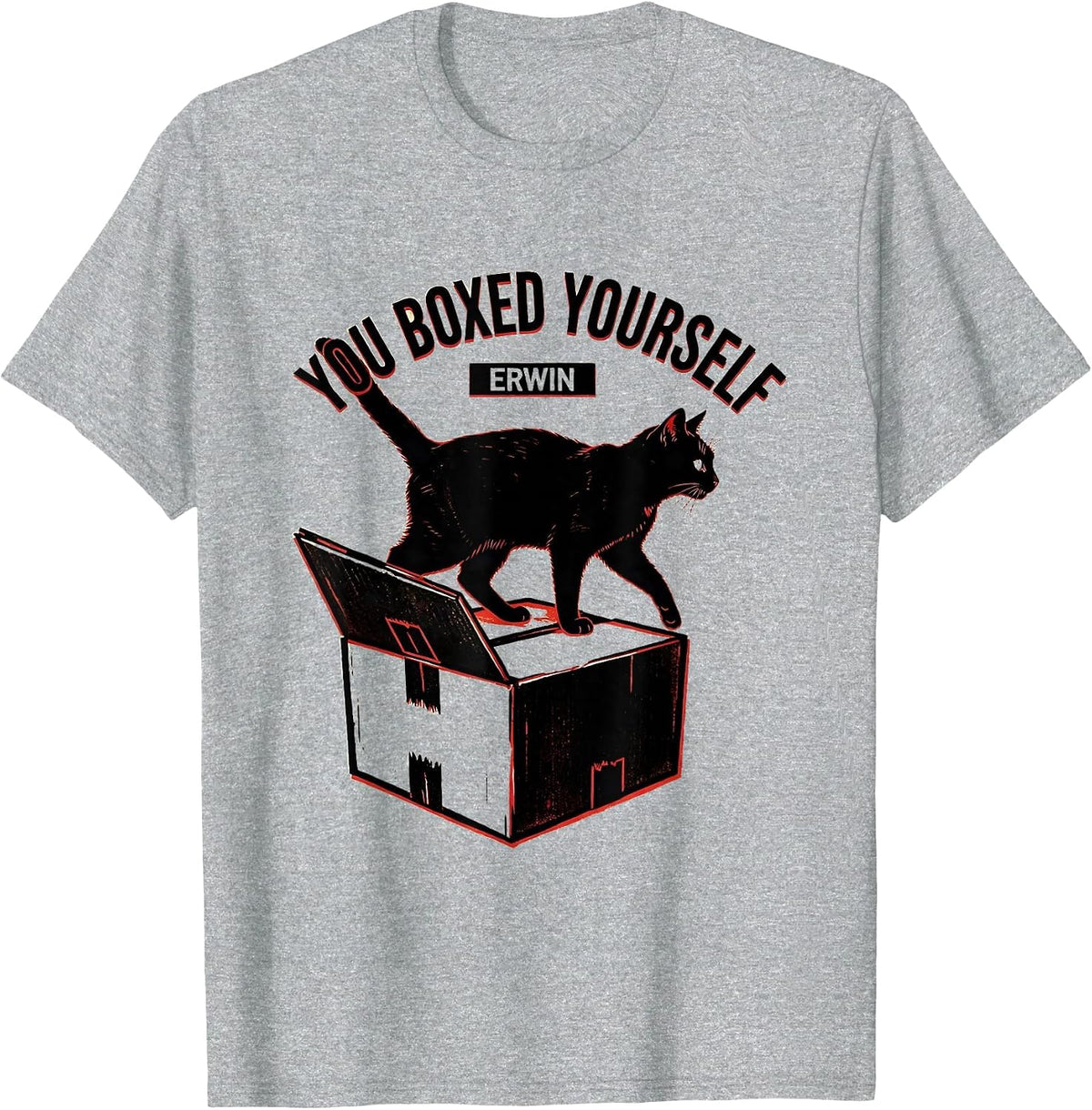 Men's You Boxed Yourself, Erwin Funny Science Teacher Quantum T-Shirt - Heather Grey