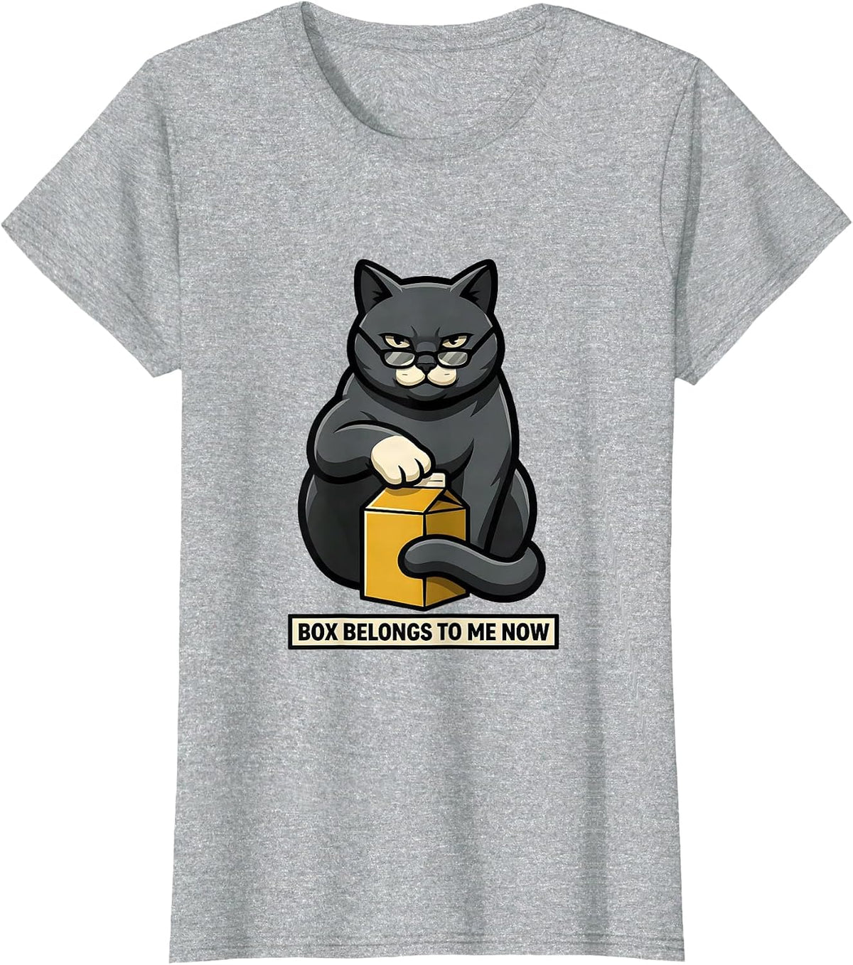 Box Belongs To Me Now Funny Science Cat Owner Quantum T-Shirt - Heather Grey