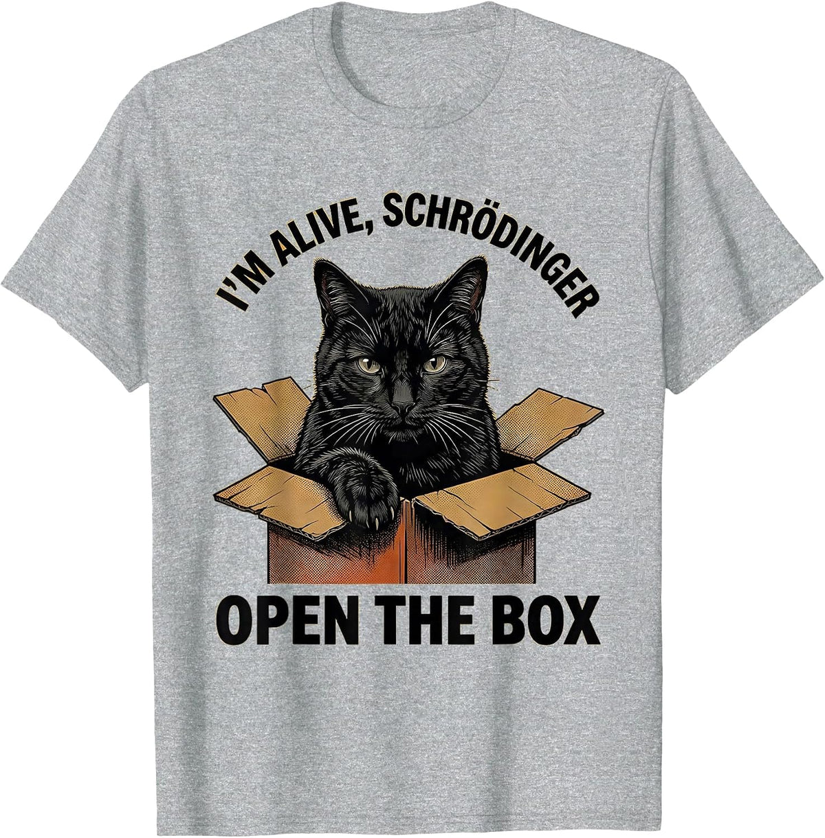 Men's I'm Alive Schrödinger Open the Box Funny Science Teacher T-Shirt - Heather Grey