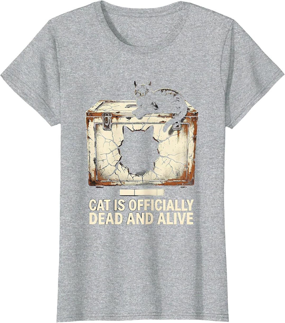 Cat Is Officially Dead And Alive Distressed Quantum Physics T-Shirt - Heather Grey