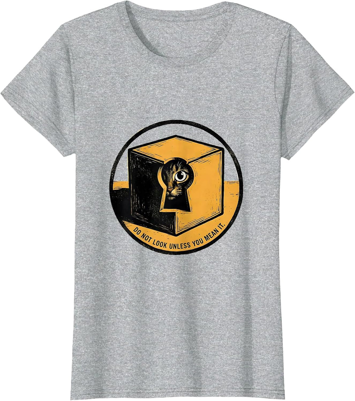 Women's Do Not Look Unless You Mean It Physics Nerd Humor T-Shirt - Heather Grey