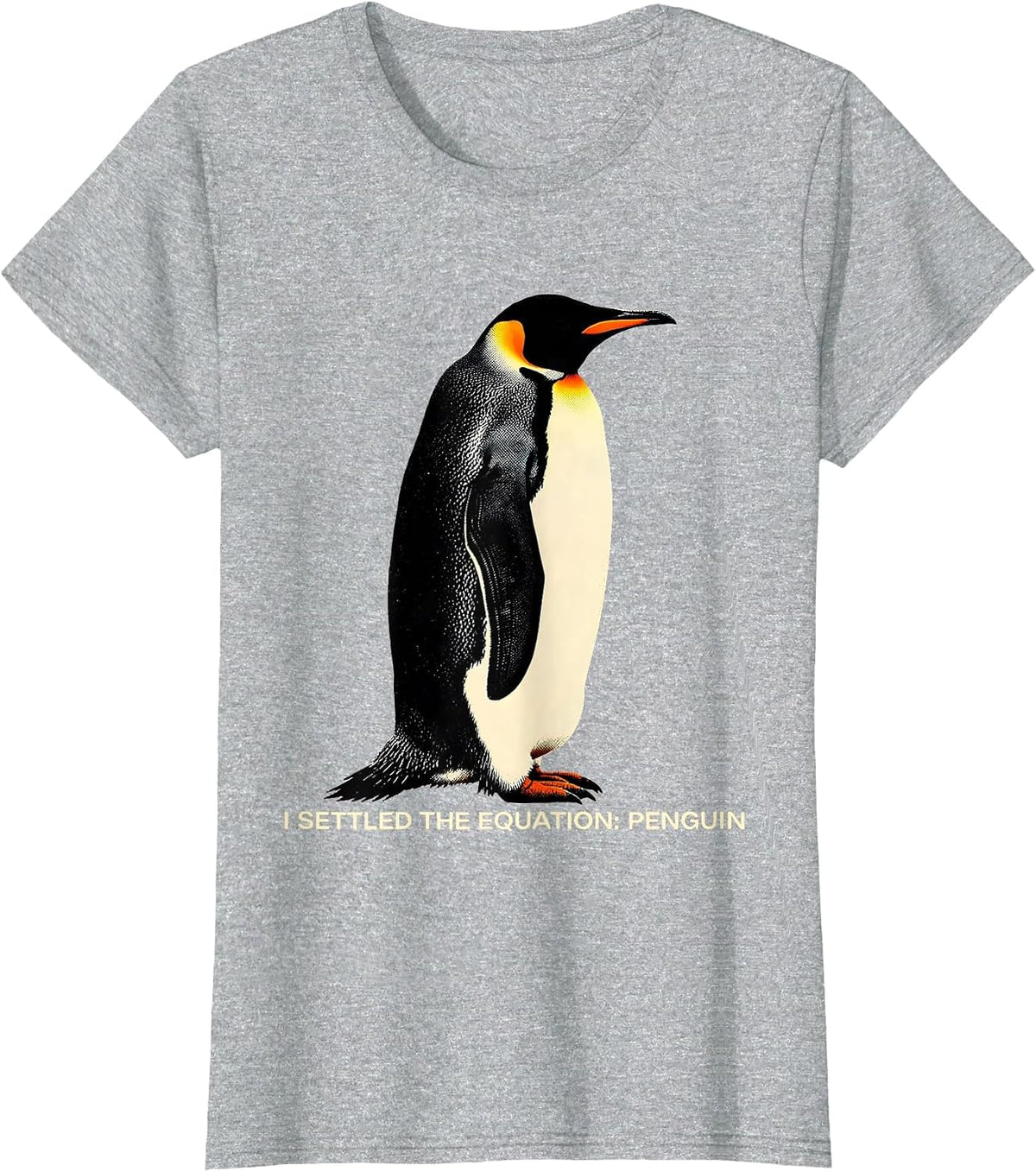 Women's I Settled The Equation Penguin Funny Penguin Lover Humor T-Shirt - Heather Grey