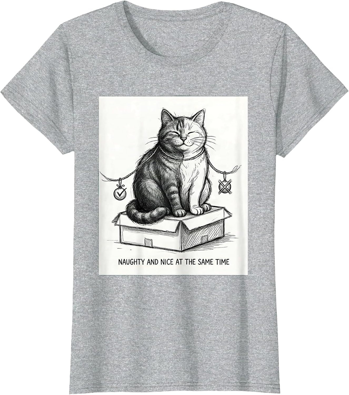 Women's Naughty And Nice At The Same Time Quantum Physics Cat Humor T-Shirt - Heather Grey