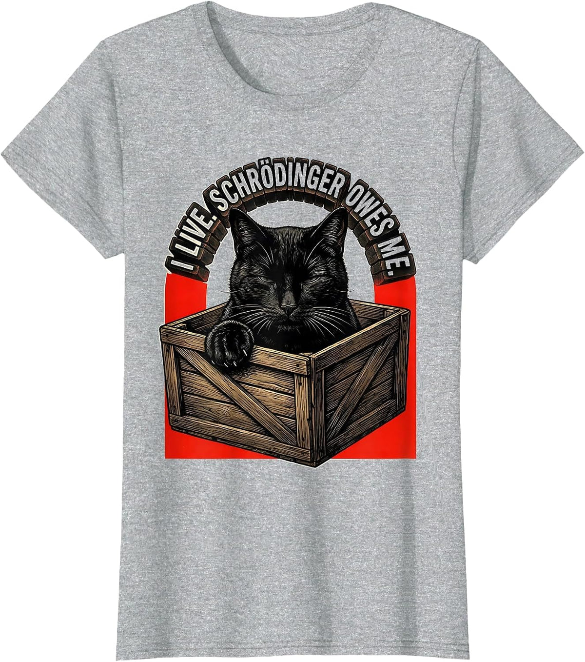 I Live Schrödinger Owes Me Funny Physics Science Enthusiast T-Shirt - Heather Grey