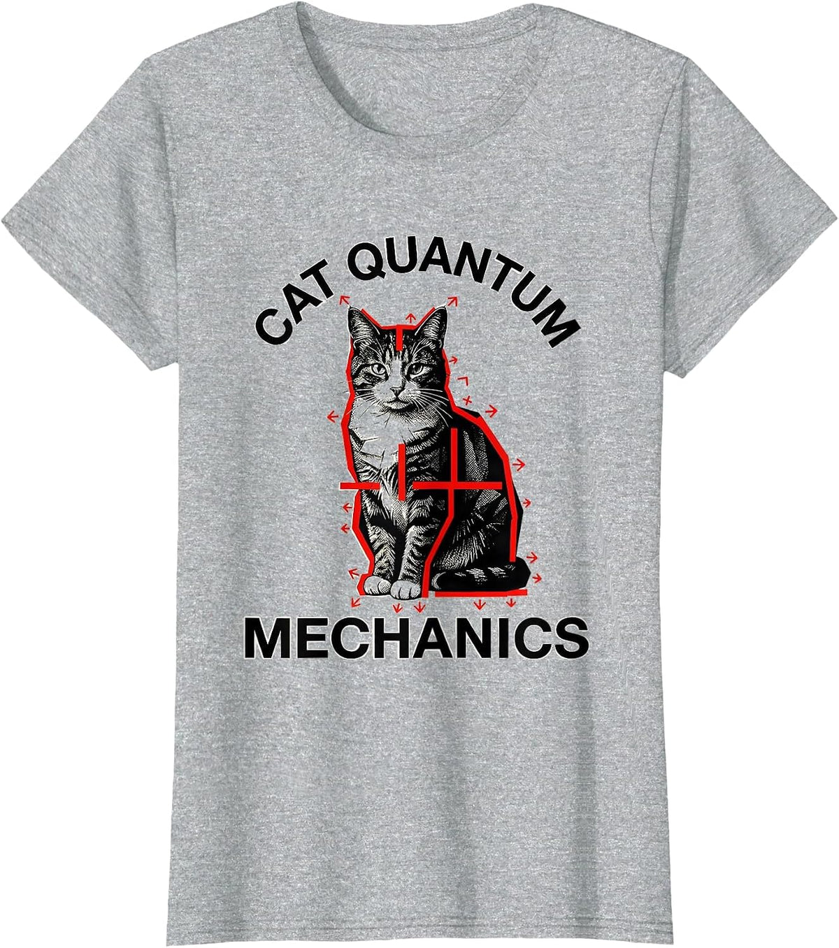 Cat Quantum Mechanics Funny Cat Science Math Teacher Gift T-Shirt - Heather Grey