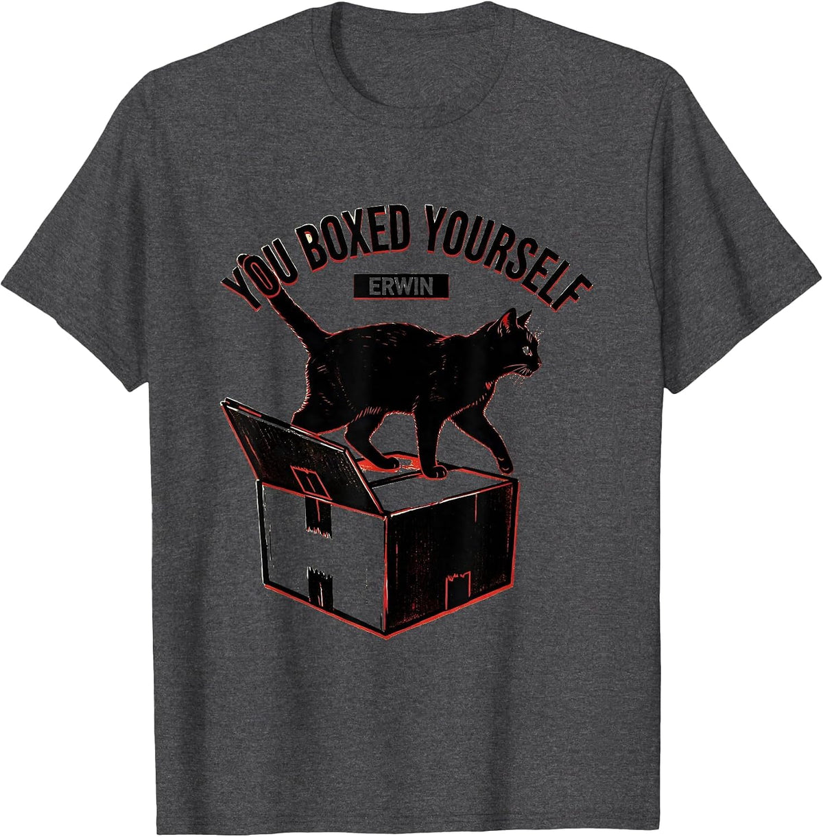 Men's You Boxed Yourself, Erwin Funny Science Teacher Quantum T-Shirt - Dark Heather Grey