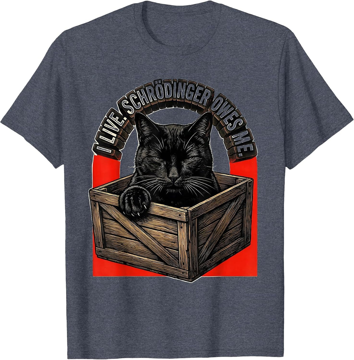 I Live Schrödinger Owes Me Funny Physics Science Enthusiast T-Shirt - Heather Blue