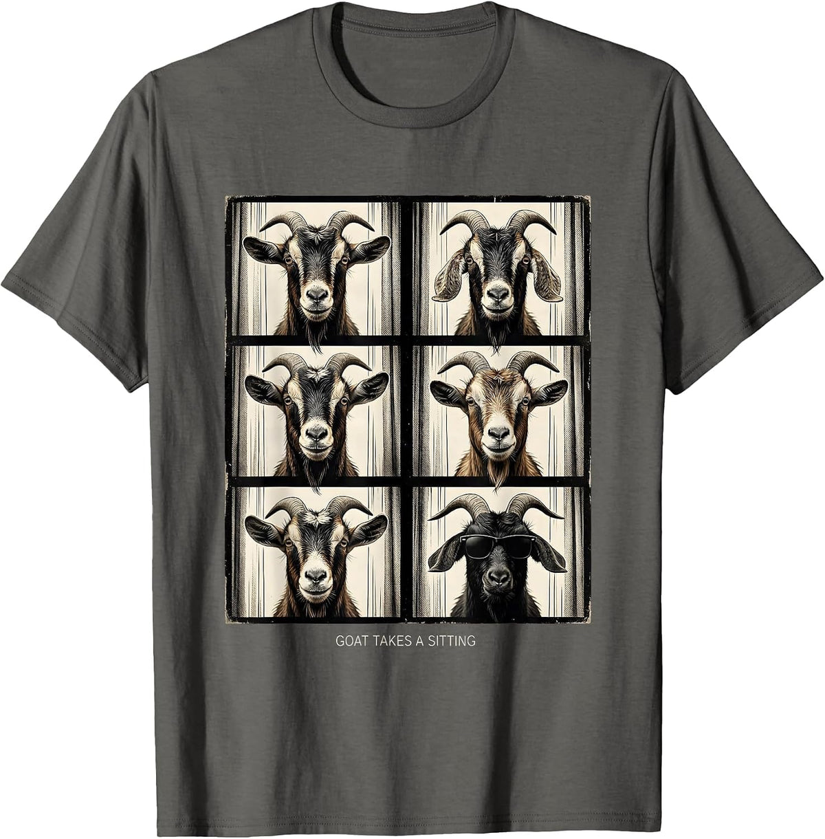 Goat Takes A Sitting Vintage Funny Goat Lover Animal T-Shirt - Asphalt Grey