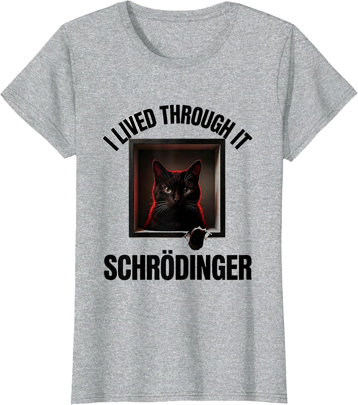 Women's I Lived Through It Schrödinger Funny Quantum Physics Science T-Shirt - Heather Grey