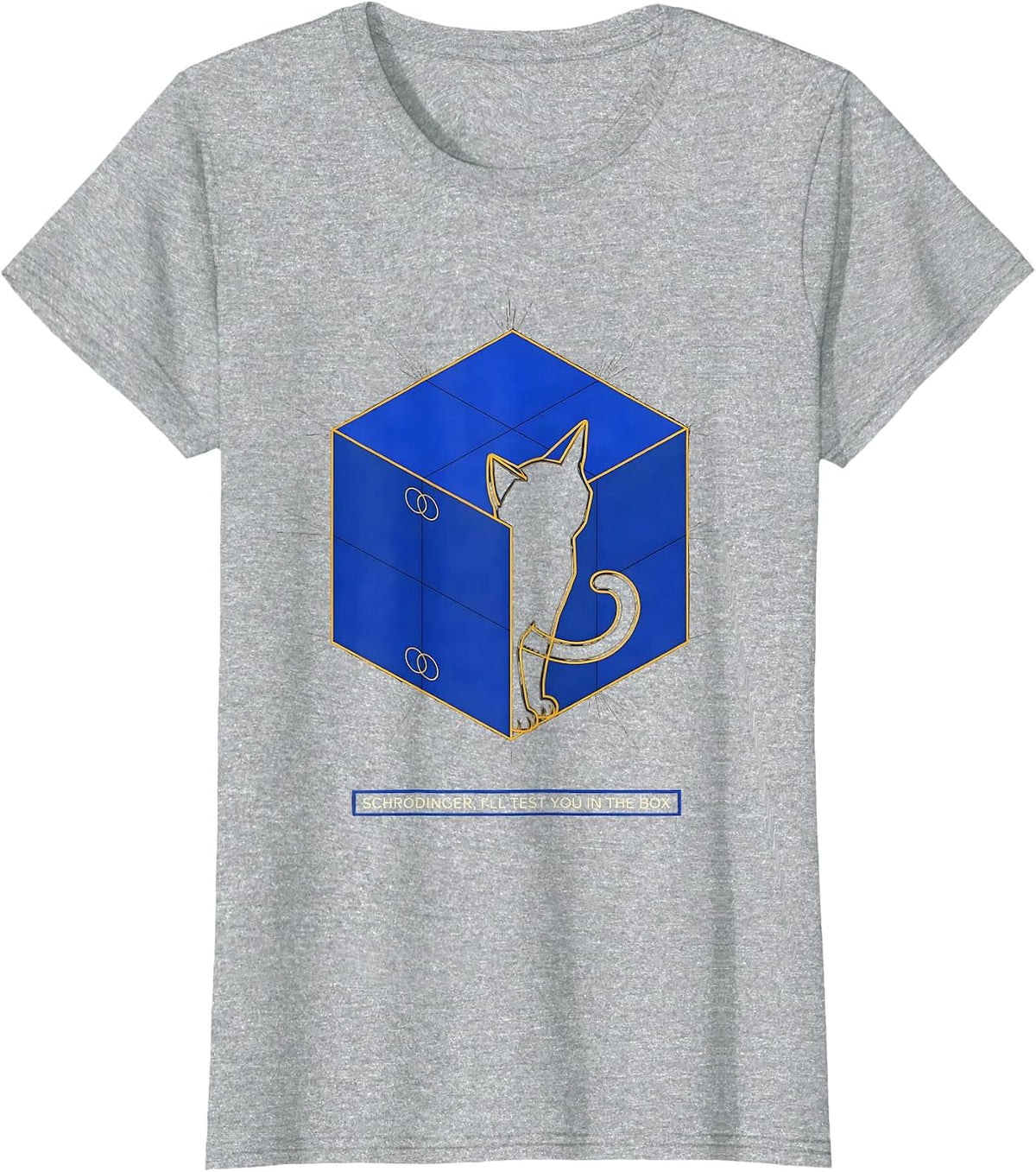 Schrödinger, I’ll Test You in the Box Funny Science Teacher T-Shirt - Heather Grey