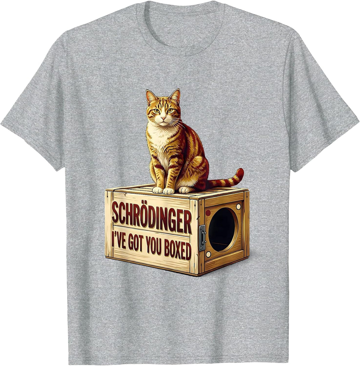 Men's Schrödinger, I’ve Got You Boxed Funny Quantum Physics Cat T-Shirt - Heather Grey