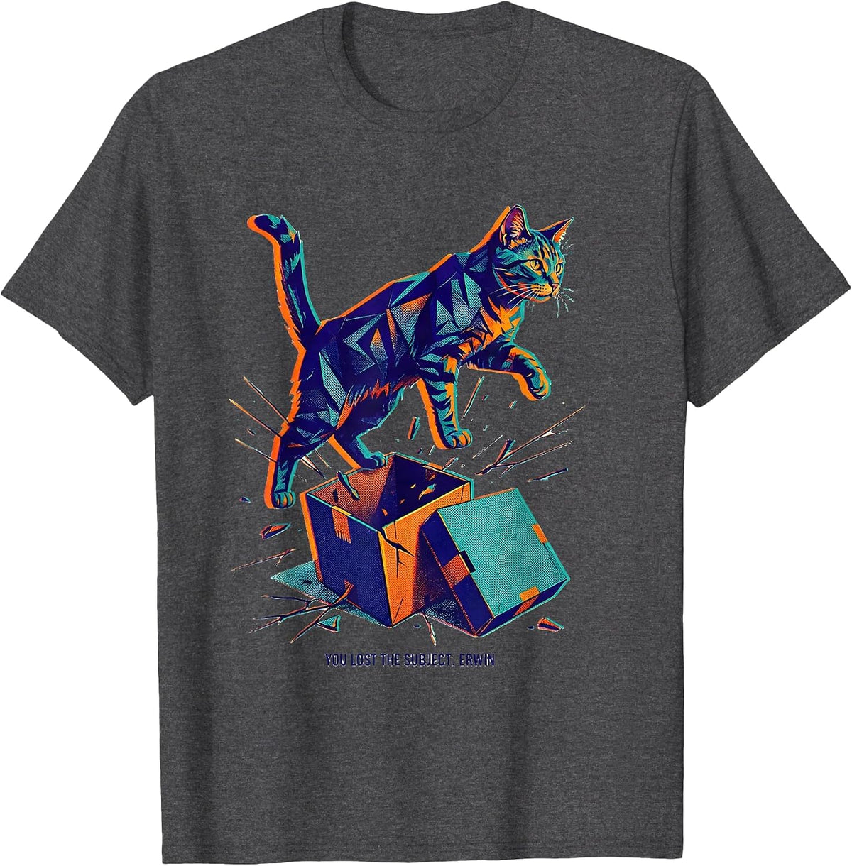 You Lost the Subject Erwin Funny Science Teacher Quantum T-Shirt - Dark Heather Grey