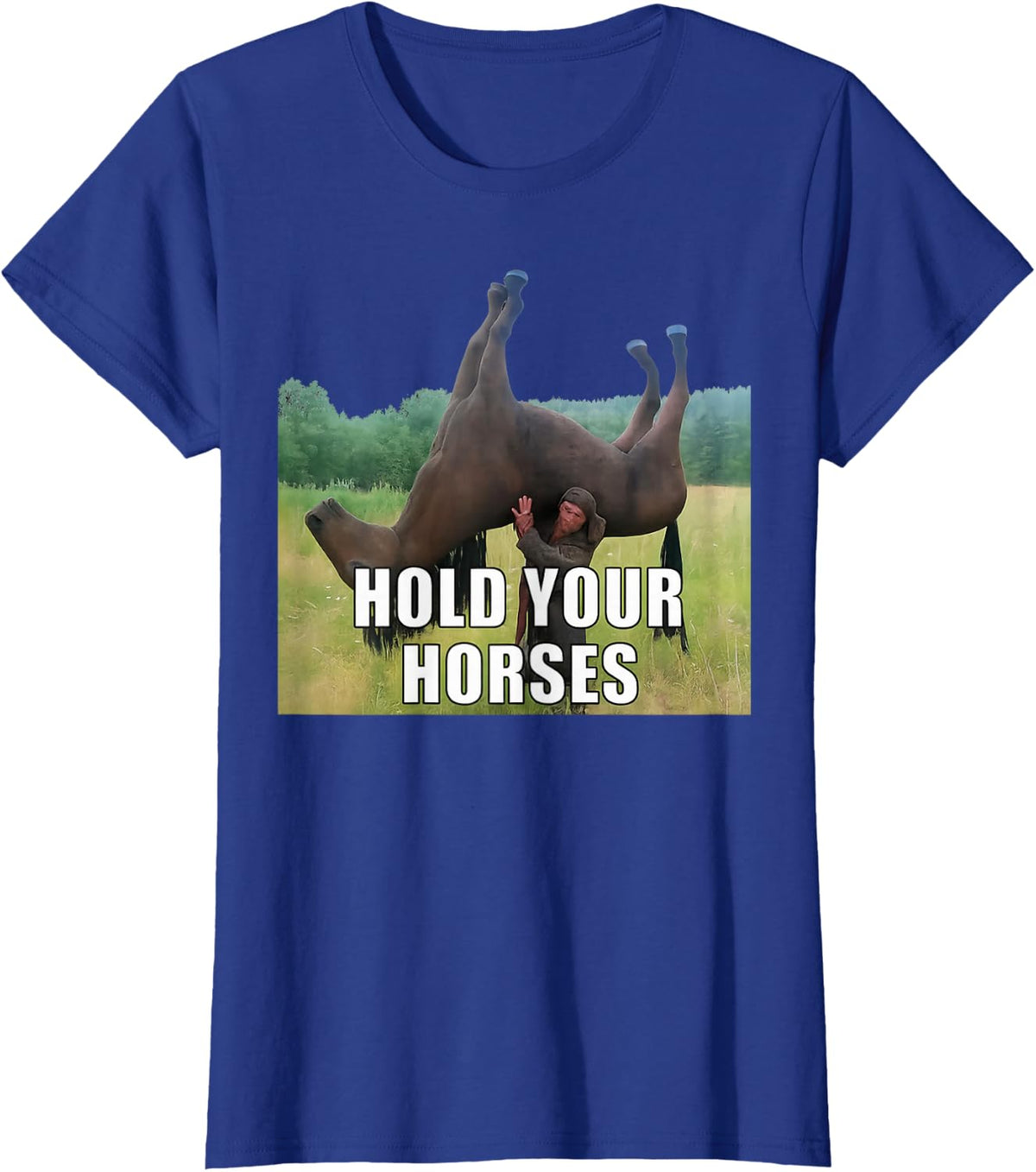 Hold Your Horses Funny Saying Men Women Sarcastic Humor T-Shirt - Royal Blue