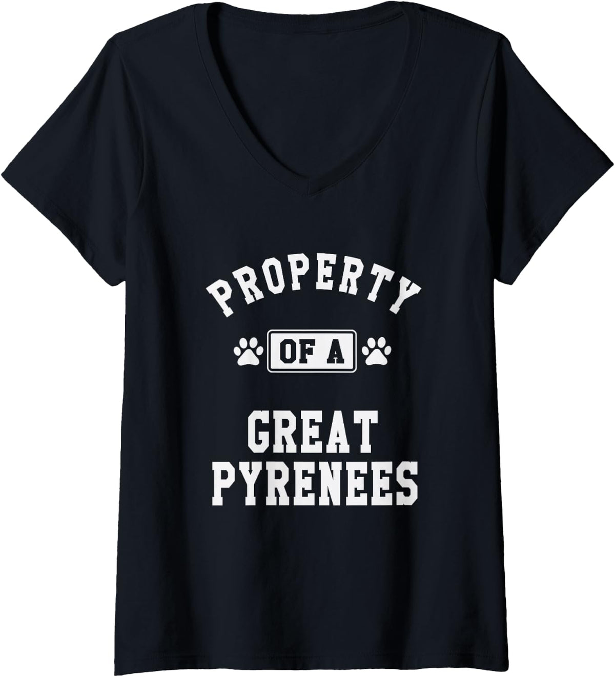 Women's Property of Great Pyrenees - Funny Pyrenees Dog Lover Shirt V-Neck T-Shirt - Black