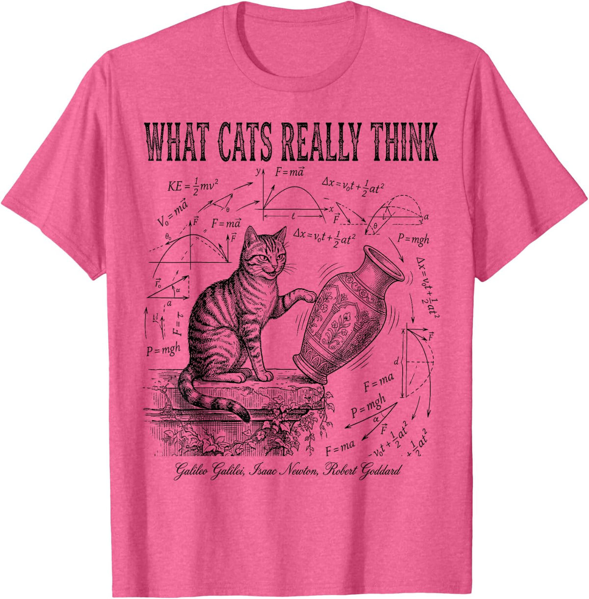 Funny Science What Cats Really Think Physics Nerd Humor T-Shirt - Pink Heather